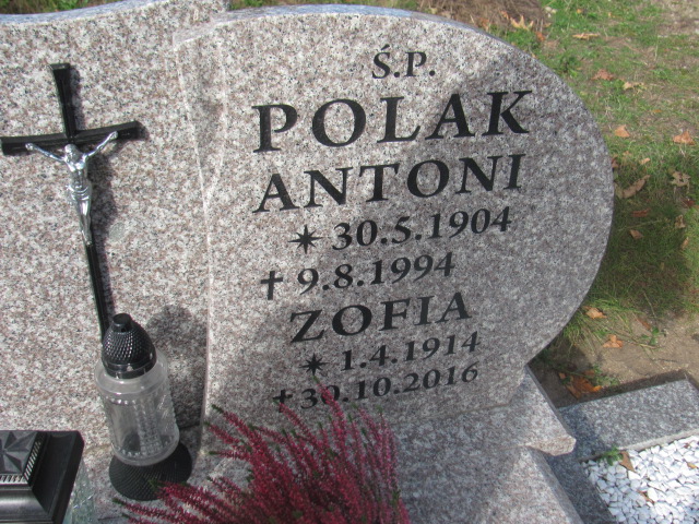 Zofia Polak 1914 Sulęczyno - Grobonet - Wyszukiwarka osób pochowanych