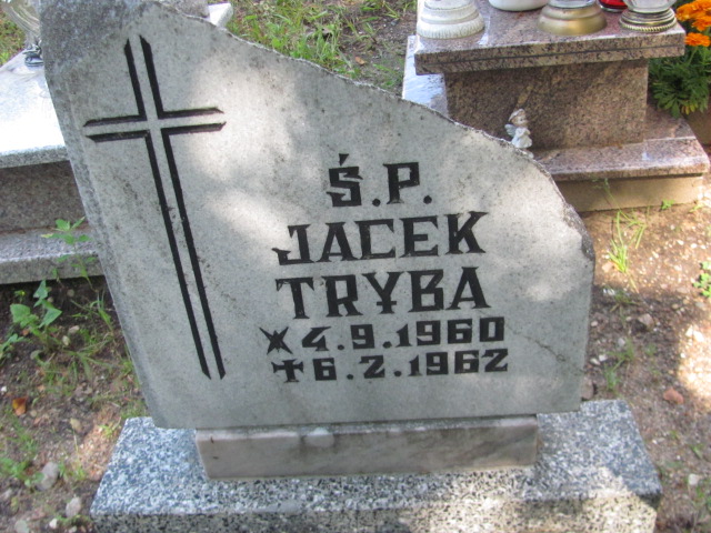 Jacek Tryba 1960 Sulęczyno - Grobonet - Wyszukiwarka osób pochowanych