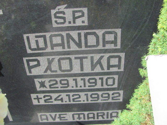 Wanda Płotka 1910 Sulęczyno - Grobonet - Wyszukiwarka osób pochowanych