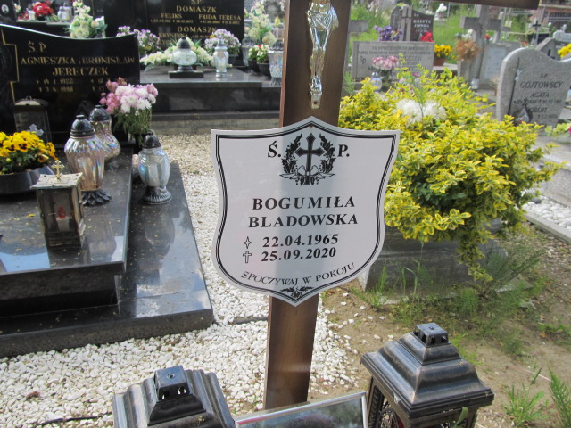 Leon Franciszek Malek 1893 Sulęczyno - Grobonet - Wyszukiwarka osób pochowanych